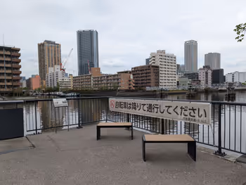 桜の散歩道の写真2