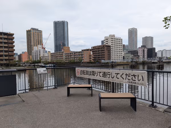 桜の散歩道の写真2