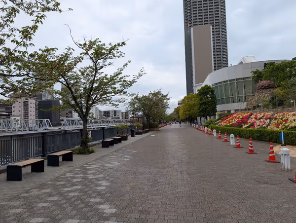 桜の散歩道の写真6