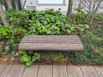 トリトンスクエアガーデンの写真3