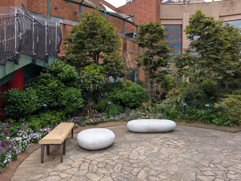 晴海トリトン 水のテラスの写真5