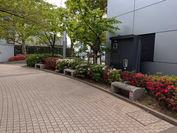 サウストリトンパークの写真3