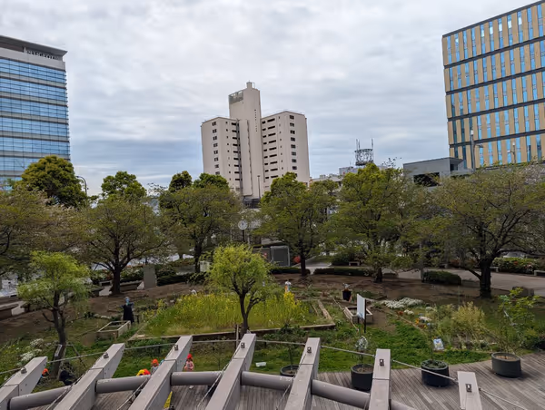 サウストリトンパークの写真5