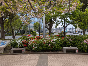 サウストリトンパークの写真8