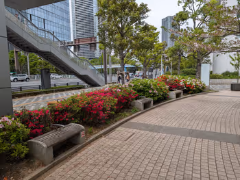 サウストリトンパークの写真7