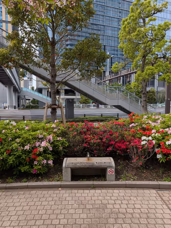 サウストリトンパークの写真2