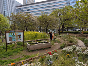 サウストリトンパークの写真6