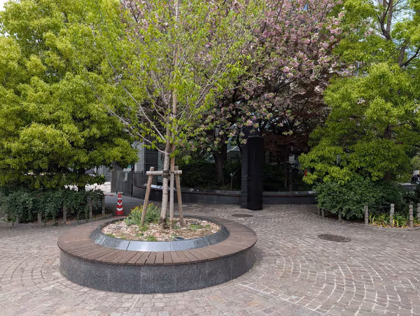 トルナーレ日本橋浜町 みどり通り側の写真1