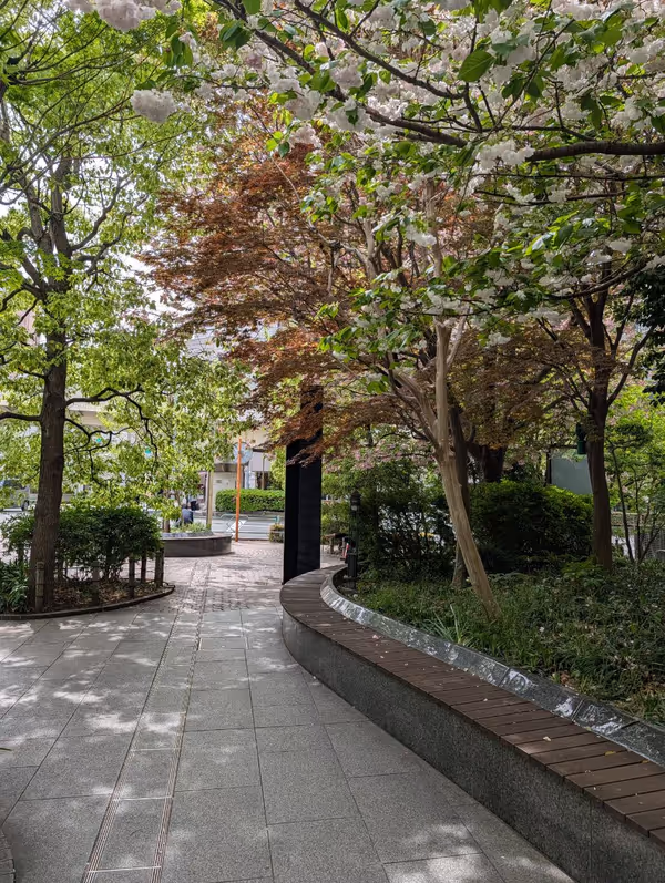 トルナーレ日本橋浜町 みどり通り側の写真3