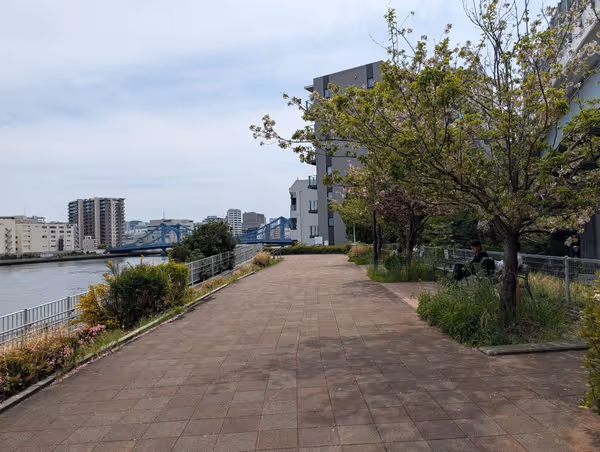 中洲公園の写真6