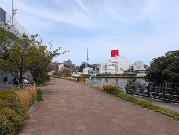 中洲公園の写真3