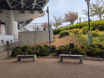 中洲公園の写真2