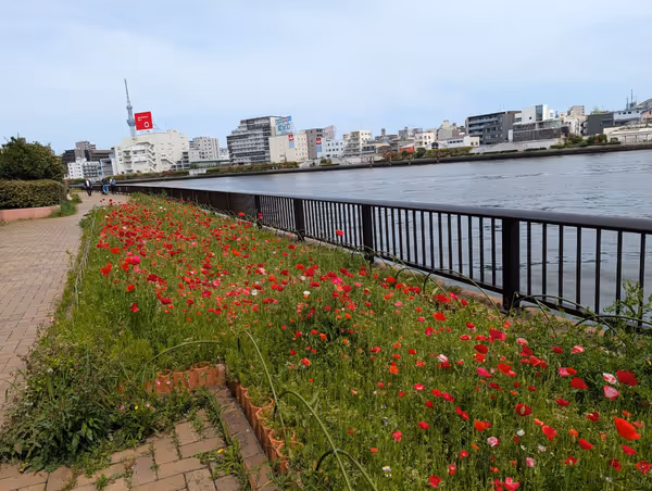 隅田川テラス 清洲橋-中洲公園間の写真6