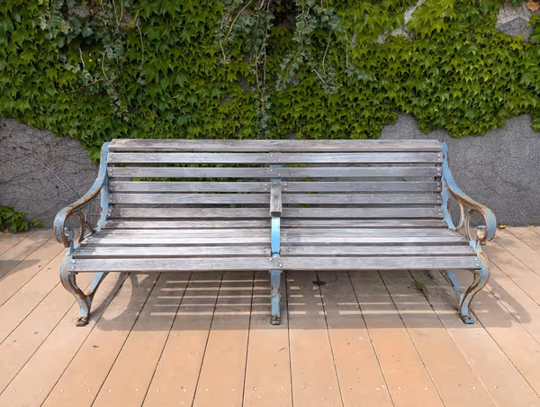 隅田川テラス 清洲橋-中洲公園間の写真3