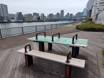 隅田川テラス 清洲橋付近の写真3