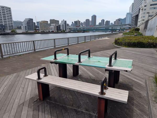 隅田川テラス 清洲橋付近の写真3