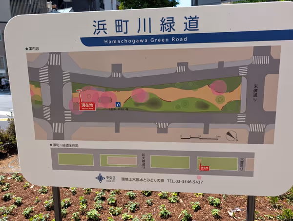 浜町川緑道 久松側の写真2