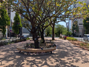 浜町川緑道 久松側の写真5