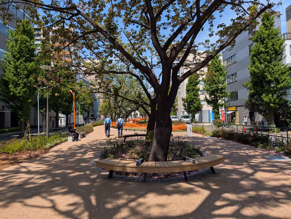 浜町川緑道 久松側の写真4