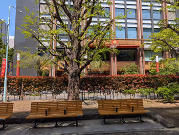 浜町公園 駅前歩道の写真6