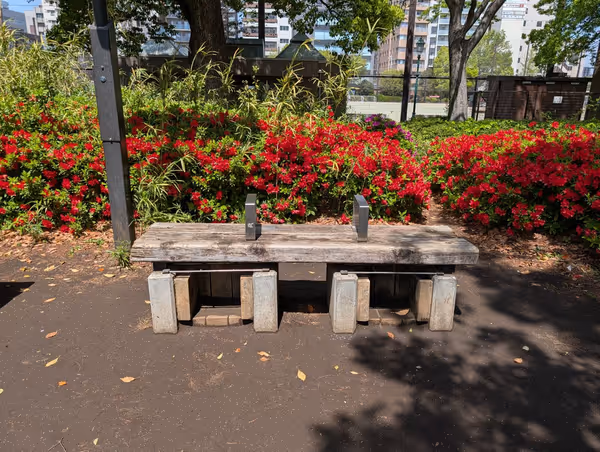 浜町公園の写真4