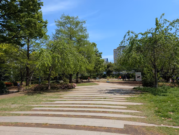 浜町公園の写真2