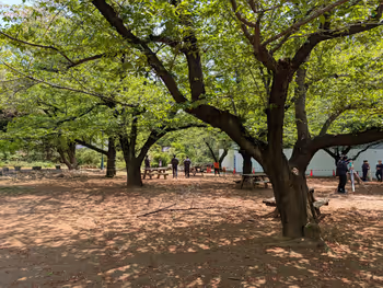 浜町公園の写真1