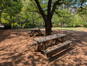 浜町公園の写真7