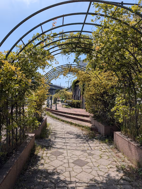 隅田川テラス 浜町河岸通り沿いの写真4