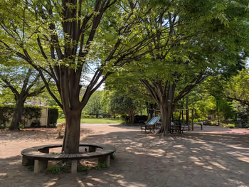 東山公園の写真7