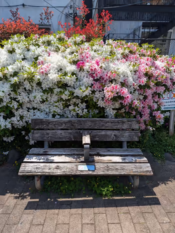 【三軒茶屋駅】下馬すずかけ公園