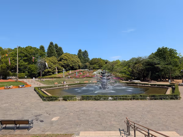 世田谷公園の写真3