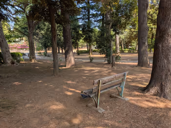 世田谷公園の写真7