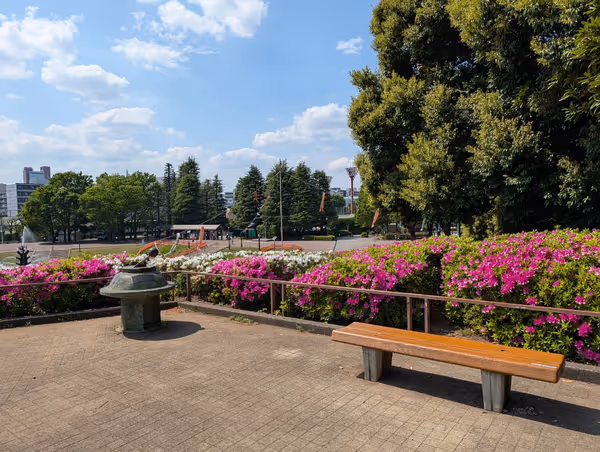 世田谷公園の写真4