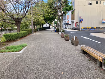 水門川沿い遊歩道(歯科医院前)の写真3
