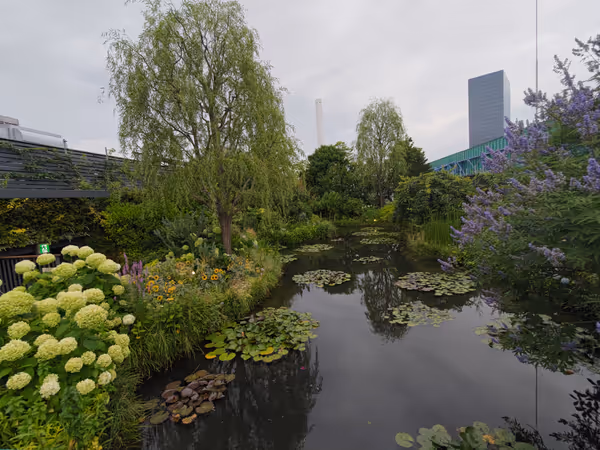 Photo of Ikebukuro Station | Seibu Main Building 9F Rooftop: Food and Green Sky Garden Rest Spot 3