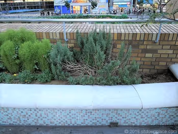 선샤인 스페인 계단의 벤치 상세