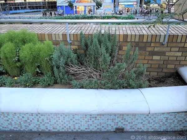 Photo de サンシャインスペイン階段 4