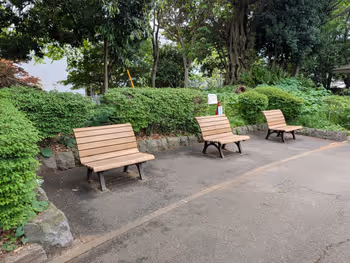 菅刈公園の写真3