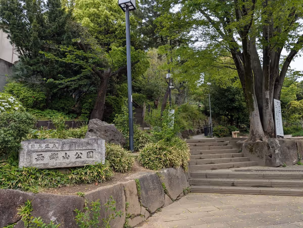 西郷山公園の写真2