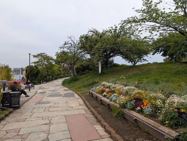 西郷山公園の写真5