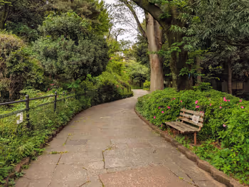 西郷山公園の写真3