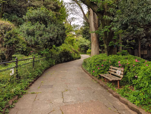 西郷山公園の写真3