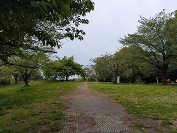 西郷山公園の写真7