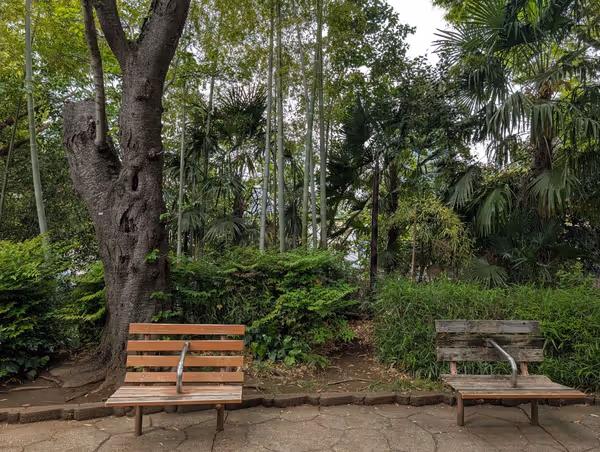 西郷山公園の写真4