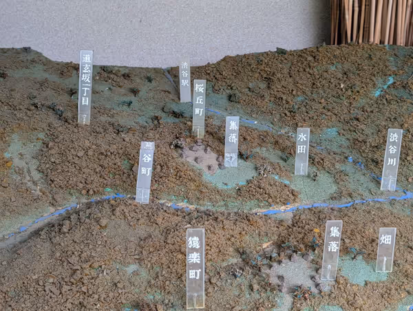 猿楽町住居跡公園の写真6