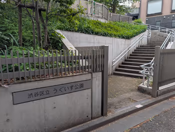 うぐいす公園の写真2