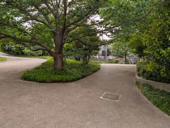 うぐいす公園の写真6
