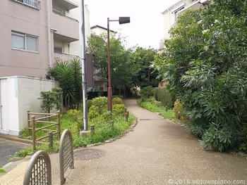 世田谷郵便局裏 蛇崩川緑道の写真3