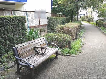 丸山公园附近的蛇崩川绿道的景观